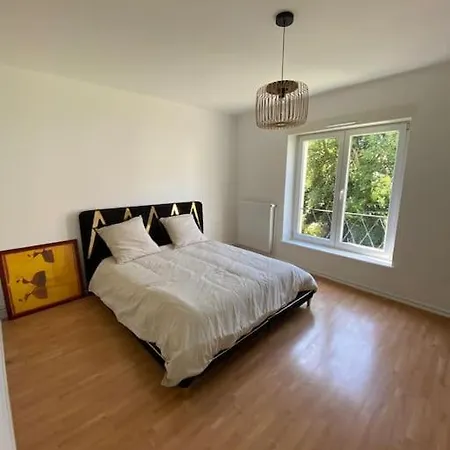 Grand Appartement Sur Schiltigheim A Proximite Du Centre De Strasbourg Exterior photo