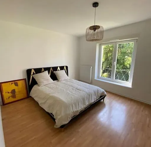 Grand Appartement Sur Schiltigheim A Proximite Du Centre De Strasbourg